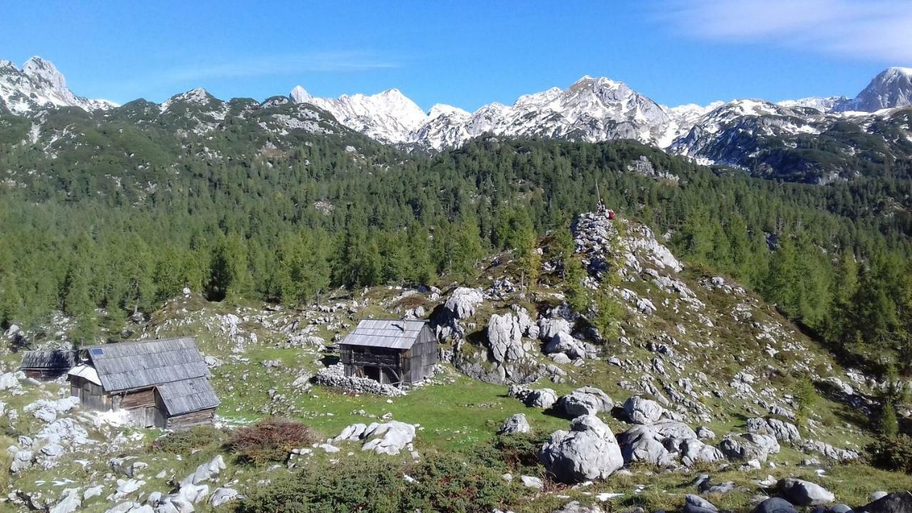 Hiska Henrik Zalokar Apartman Bohinji-tó Kültér fotó