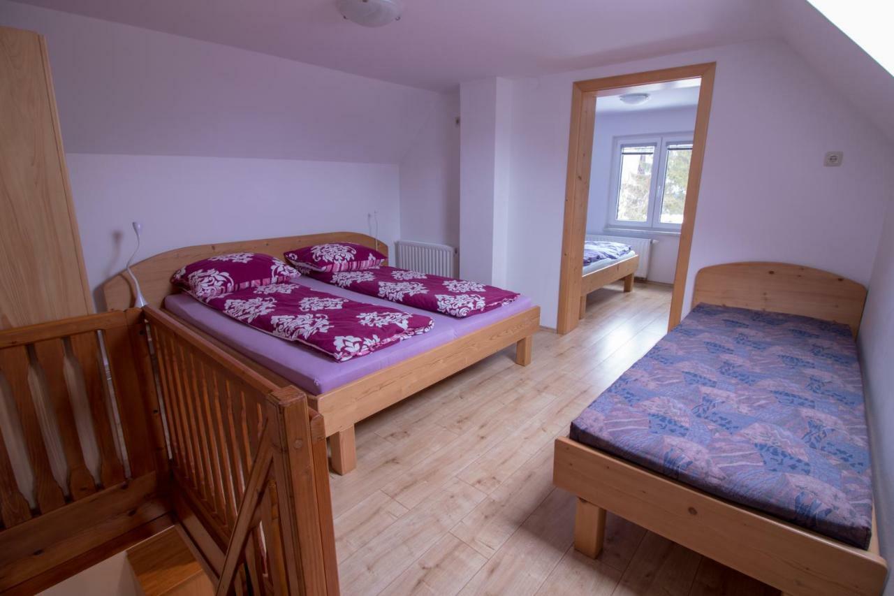 Hiska Henrik Zalokar Apartman Bohinji-tó Kültér fotó